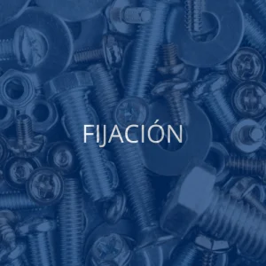 FIJACION -10